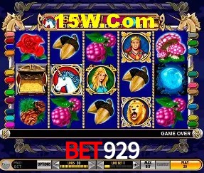 Experiência VIP Bet929