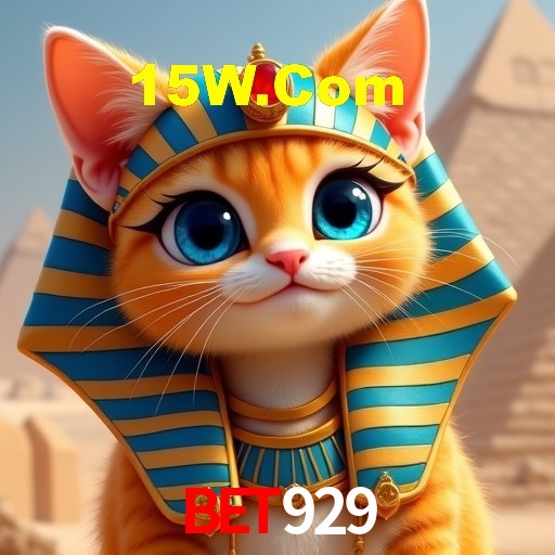 Experiência VIP Bet929